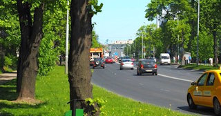 Посадка деревьев и кустарников в Устях-Джегуте — стоимость от 1215 руб.